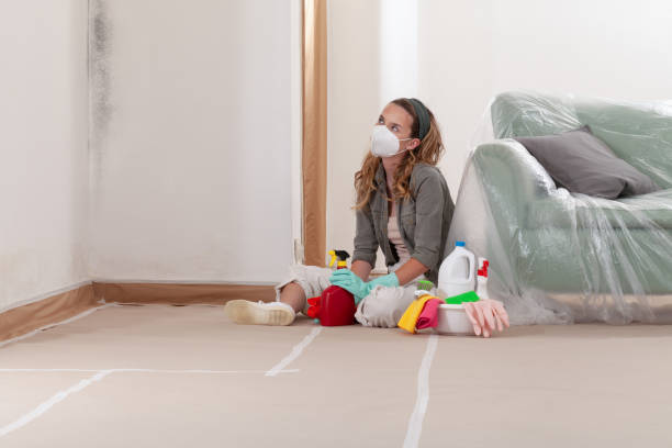 Reliable Mold Remediation contractor in Muskegon, MI by Cheap Mold Removal